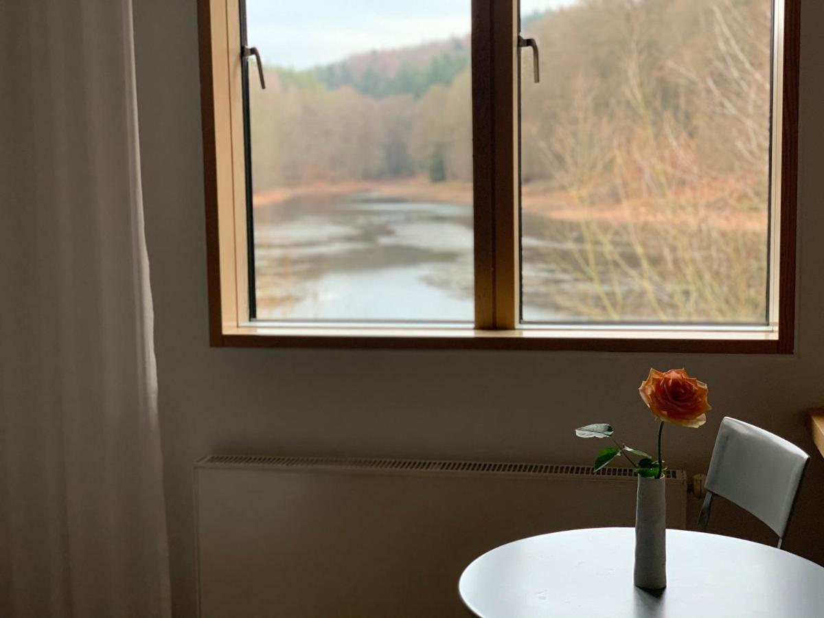 Seehaus Forelle Haeckenhaus Ramsen Kültér fotó