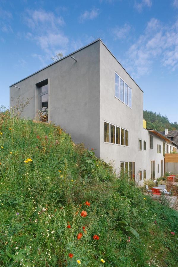 Seehaus Forelle Haeckenhaus Ramsen Kültér fotó